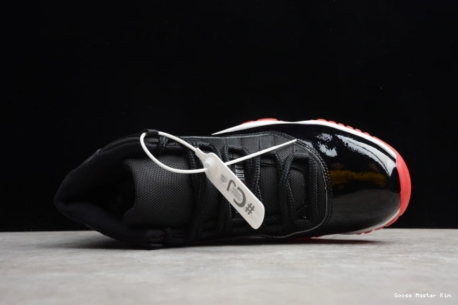 Jordan Bred(2019) Air 11 378037-061 0716